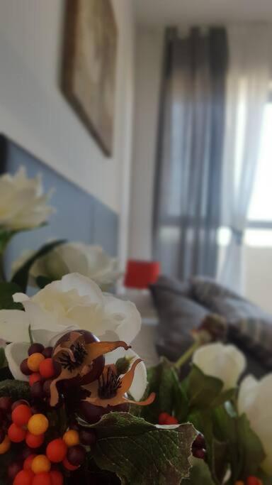 Rooms Vidar ميستر المظهر الخارجي الصورة