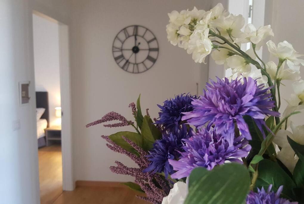 Rooms Vidar ميستر المظهر الخارجي الصورة